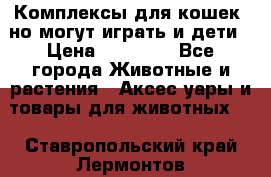 Комплексы для кошек, но могут играть и дети › Цена ­ 11 900 - Все города Животные и растения » Аксесcуары и товары для животных   . Ставропольский край,Лермонтов г.